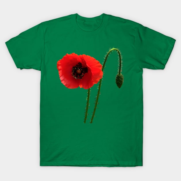 Red Poppy and Bud T-Shirt by SusanSavad